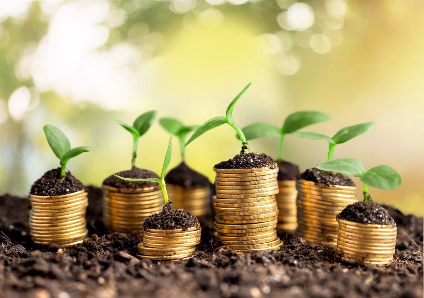 Curso Capital de Risco
