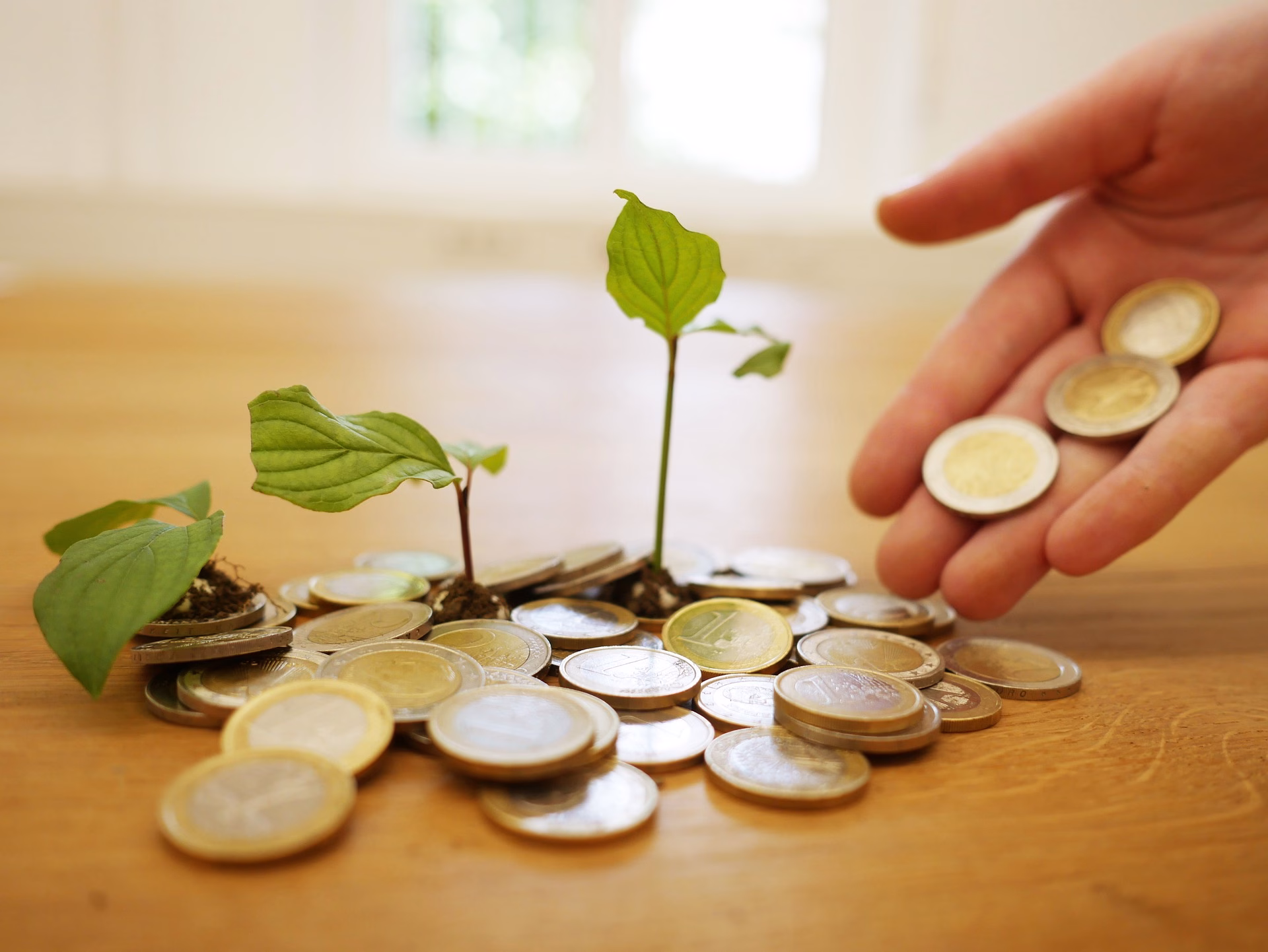 Curso Introdução aos Investimentos